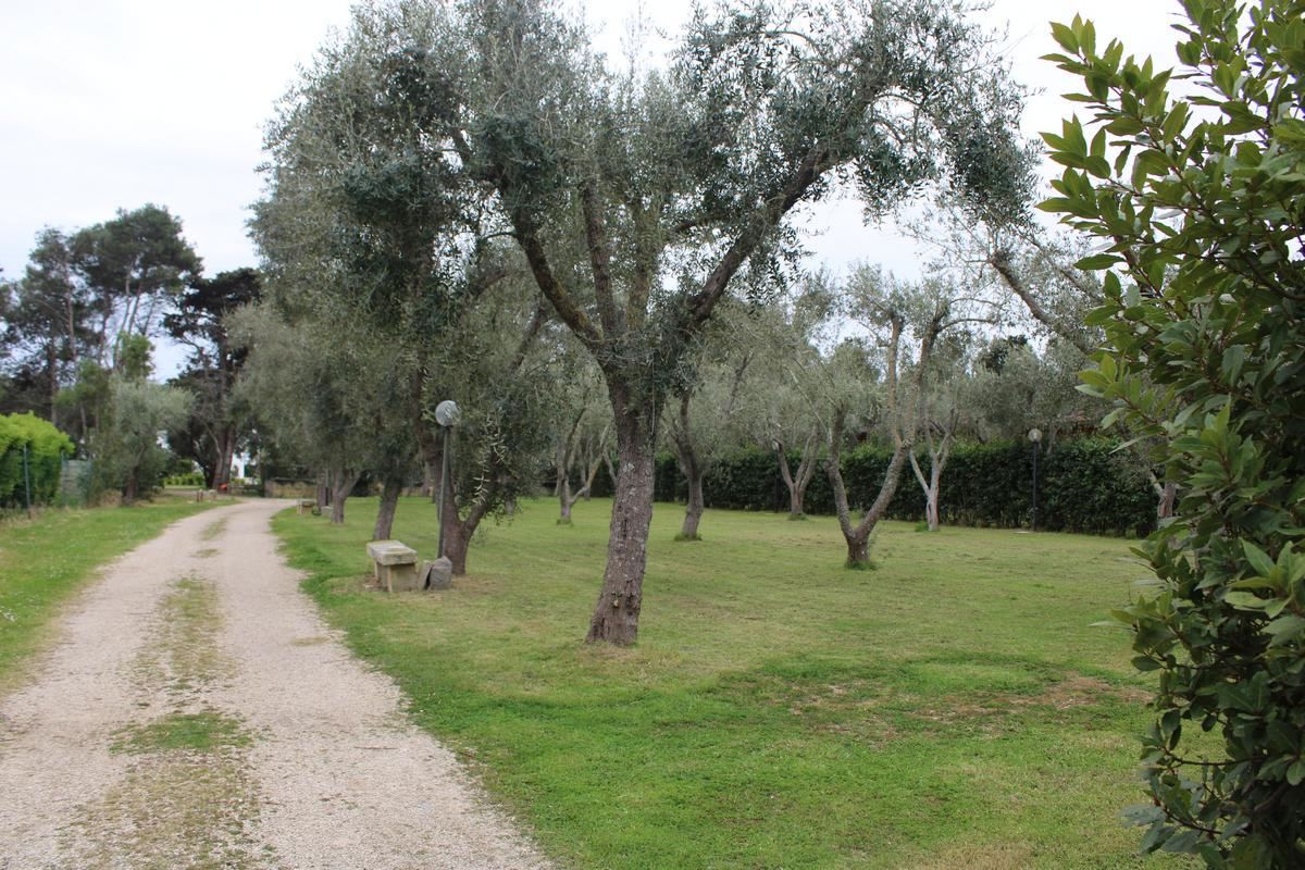 agriturismo salento lu podere